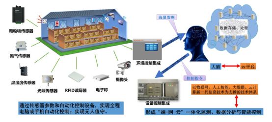 肉鸡立体养殖技术指导意三亿体育官方网站 三亿体育 首页见(图6) 肉鸡立体养殖技术指导意三亿体育官方网站 三亿体育 首页见(图6)