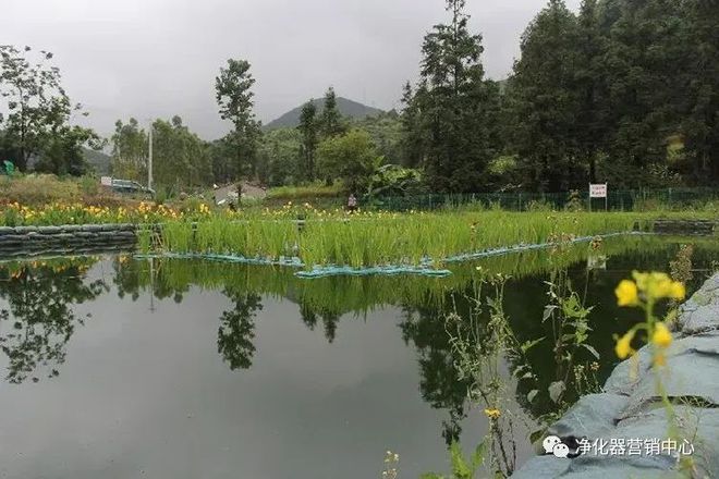 行业快讯2020第四届武汉国际城镇水务及供水设备展览会三亿体育(图2) 行业快讯2020第四届武汉国际城镇水务及供水设备展览会三亿体育(图2)