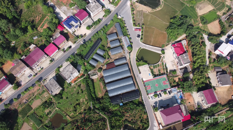 三亿体育振兴“湘”村|洪山殿镇:乡村“蝶变”满目新 绘就振兴新图景(图2) 三亿体育振兴“湘”村|洪山殿镇:乡村“蝶变”满目新 绘就振兴新图景(图2)