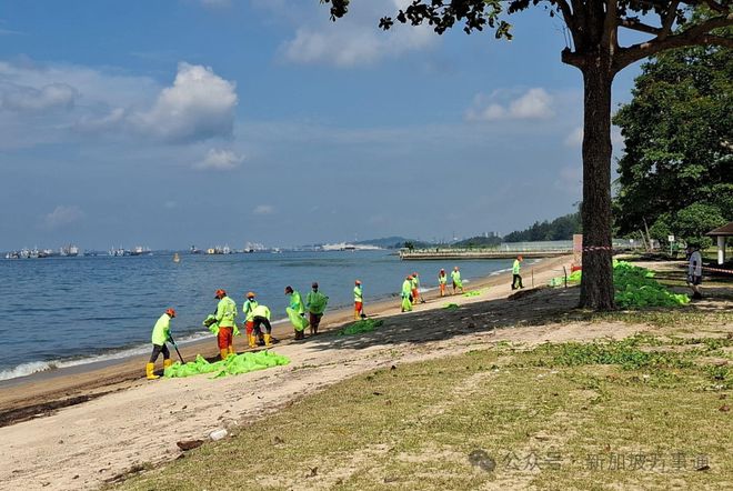 400吨燃油扩散新加坡、160义工紧急清理!对供水、鱼类、空气影响状况曝光三亿体育(图3) 400吨燃油扩散新加坡、160义工紧急清理!对供水、鱼类、空气影响状况曝光三亿体育(图3)