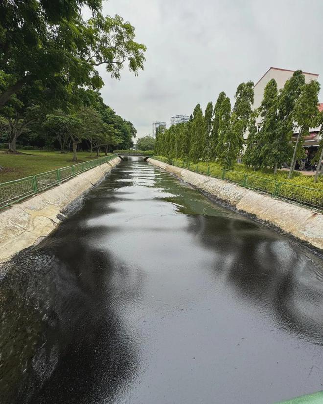 400吨燃油扩散新加坡、160义工紧急清理!对供水、鱼类、空气影响状况曝光三亿体育(图5) 400吨燃油扩散新加坡、160义工紧急清理!对供水、鱼类、空气影响状况曝光三亿体育(图5)