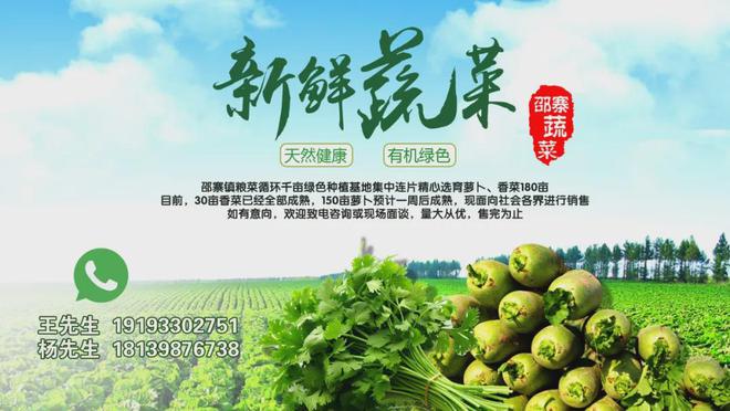 三亿体育灵台县老城区供热供水排污等市政管网更新改造建设项目(一期)加速推进(图4) 三亿体育灵台县老城区供热供水排污等市政管网更新改造建设项目(一期)加速推进(图4)